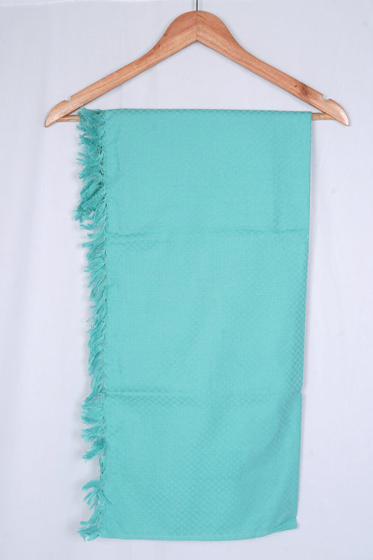 FIGI COTTON - CBT-14 BATH TOWEL 32X64 - LIGHT GREEN