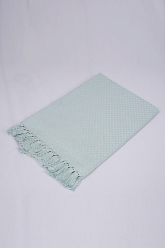 FIGI COTTON - CBT-14 BATH TOWEL 32X64 - LIGHT GREEN