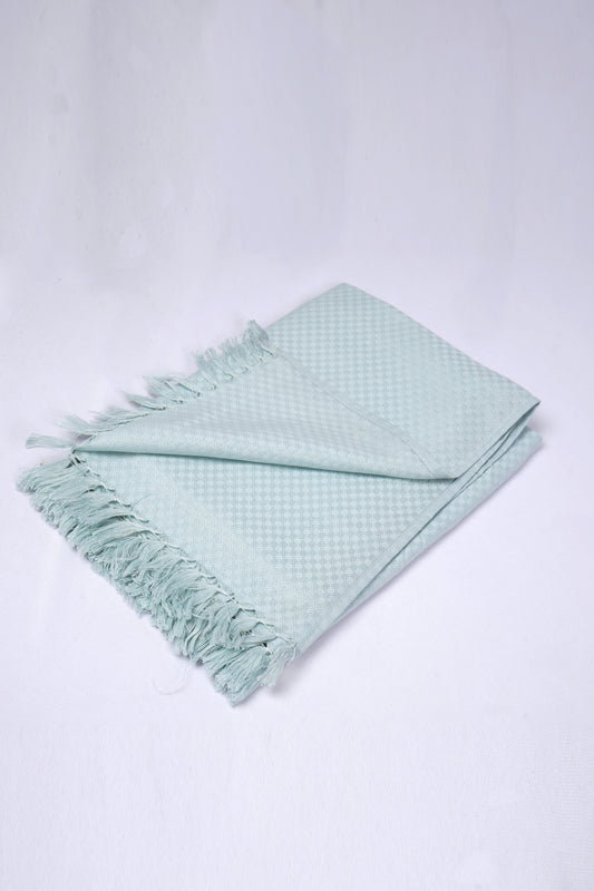FIGI COTTON - CBT-14 BATH TOWEL 32X64 - LIGHT GREEN